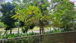 Riverbank @ Fernvale (D28), Condominium #453891831